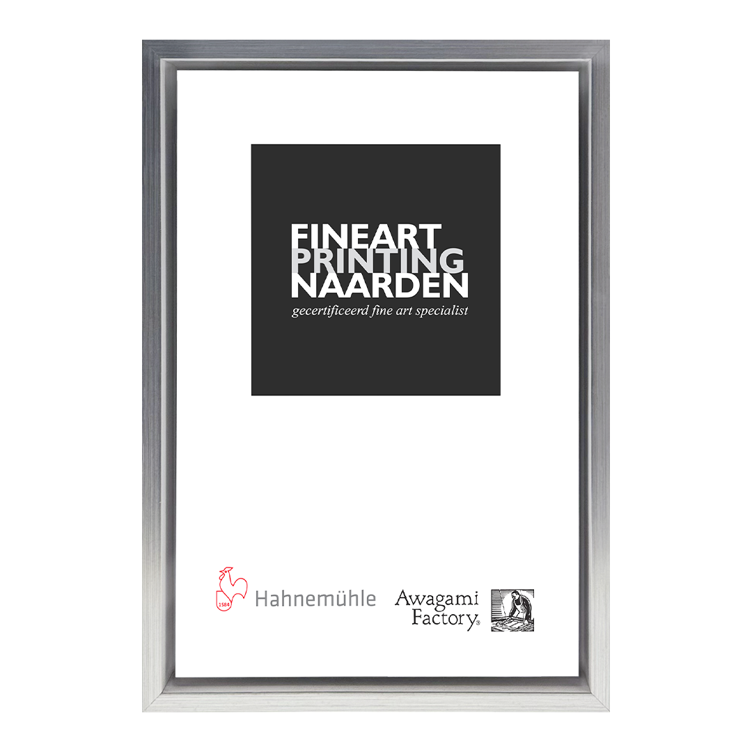 Baklijst wit met zilver