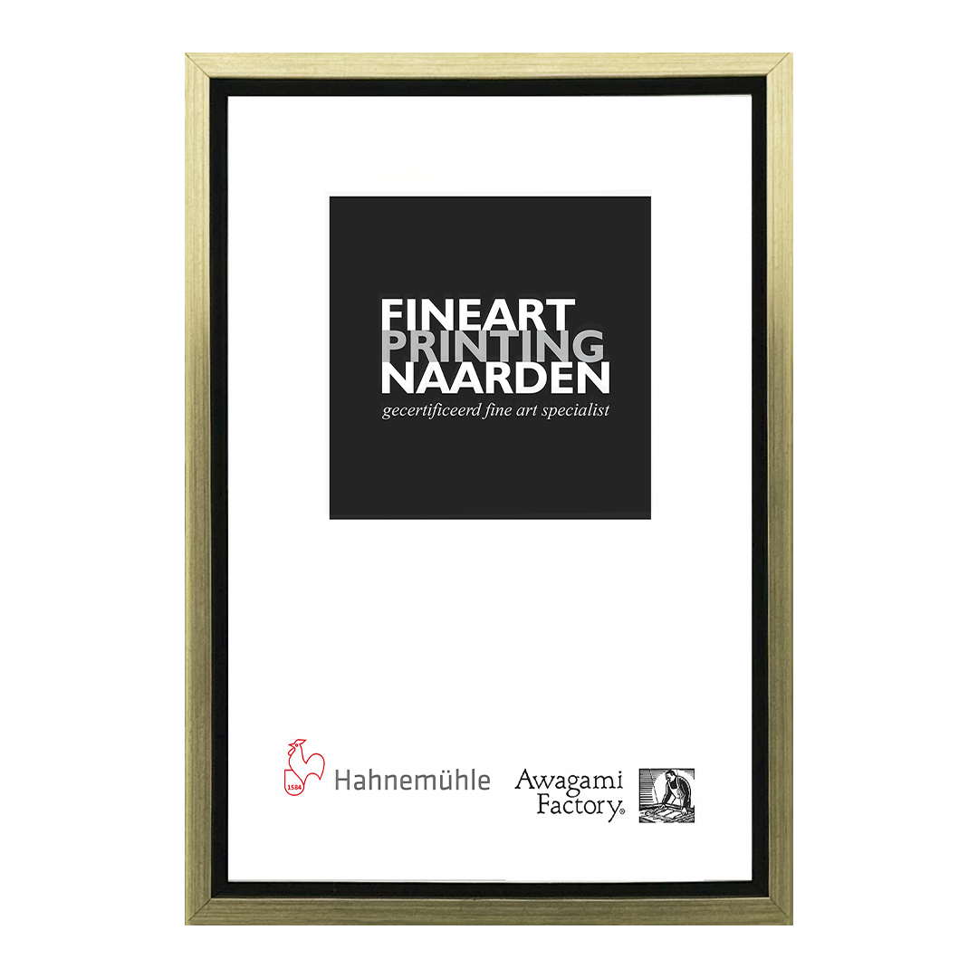 Baklijst zwart met goud